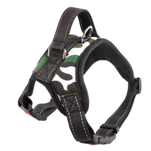 Premium Nylon Dog Collar Set - Stylish And Durable Pet Accessories