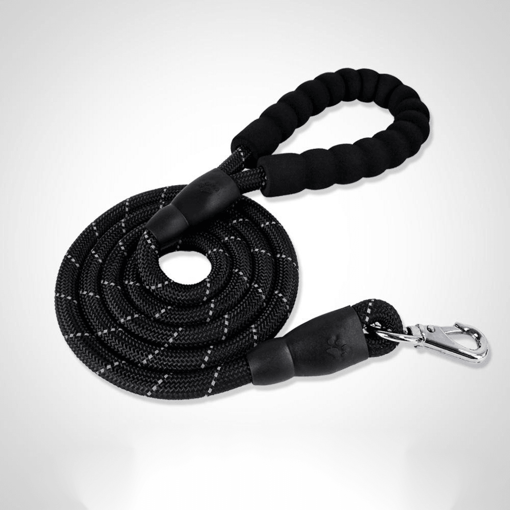 Premium Nylon Dog Collar Set - Stylish And Durable Pet Accessories