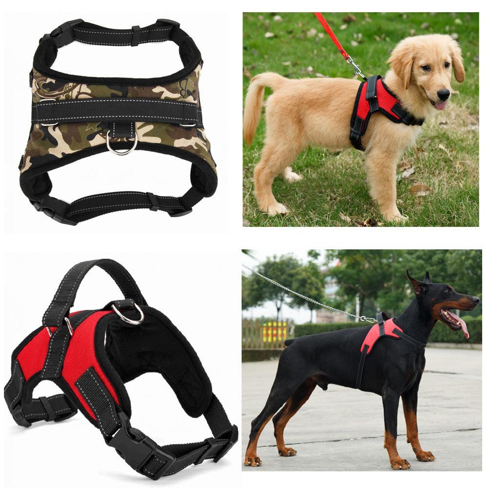 Premium Nylon Dog Collar Set - Stylish And Durable Pet Accessories