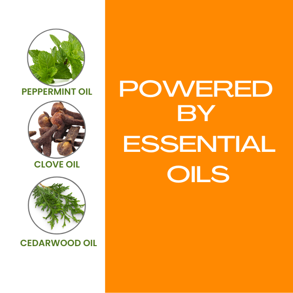 Flea and Tick Shampoo for Pets