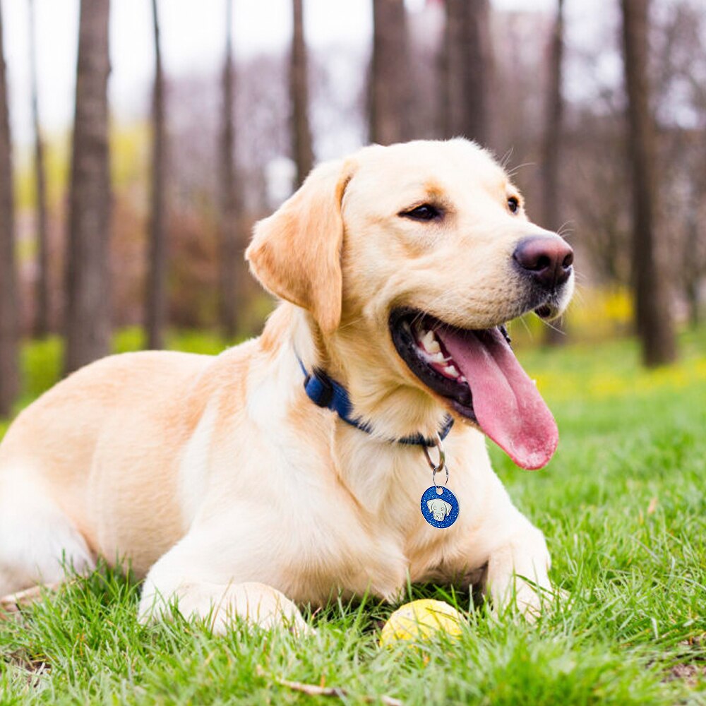 Dog Tag Engraved Pet id Tags Collar Accessories