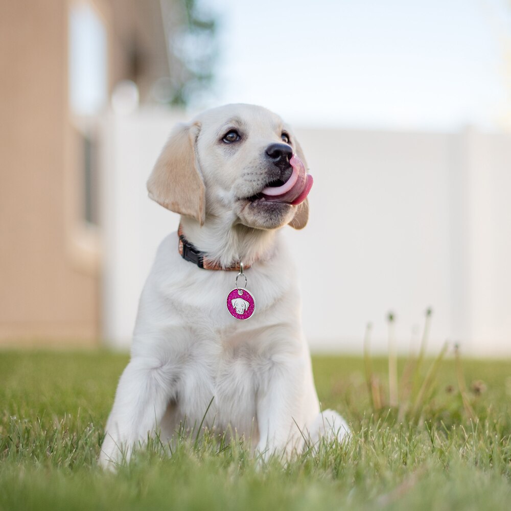 Dog Tag Engraved Pet id Tags Collar Accessories