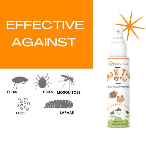 Flea and Tick Shampoo for Pets